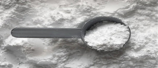 How to Choose the Right Protein Powder